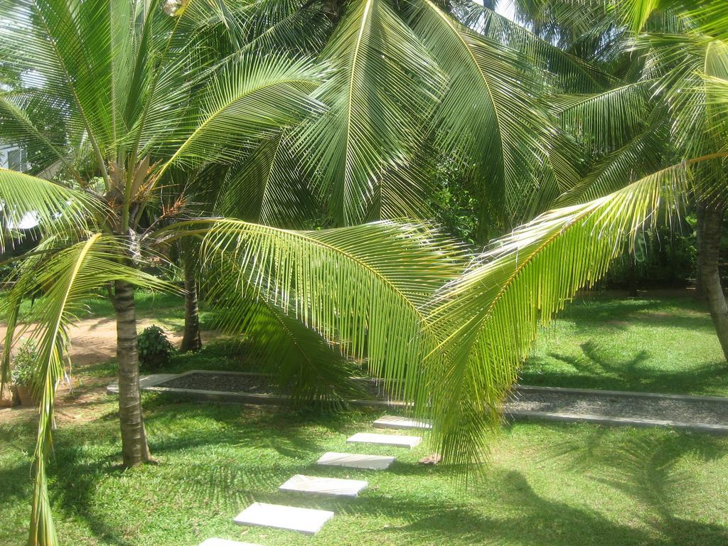 Liyana Holiday Resort Анурадхапура Екстериор снимка