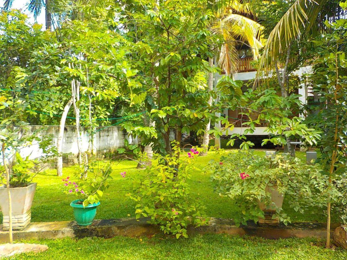 Liyana Holiday Resort Анурадхапура Екстериор снимка